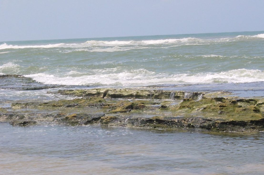 About my collections